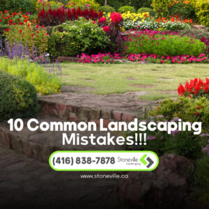 Read more about the article 10 Common Landscaping Mistakes