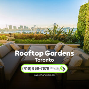 Read more about the article Rooftop Garden Toronto