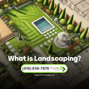 Read more about the article What is landscaping?