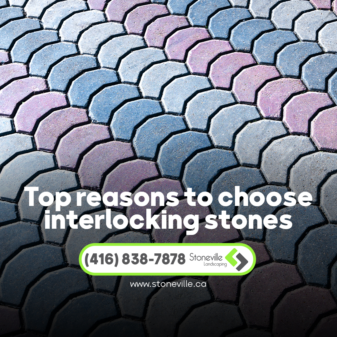 Read more about the article Top reasons to choose interlocking stones