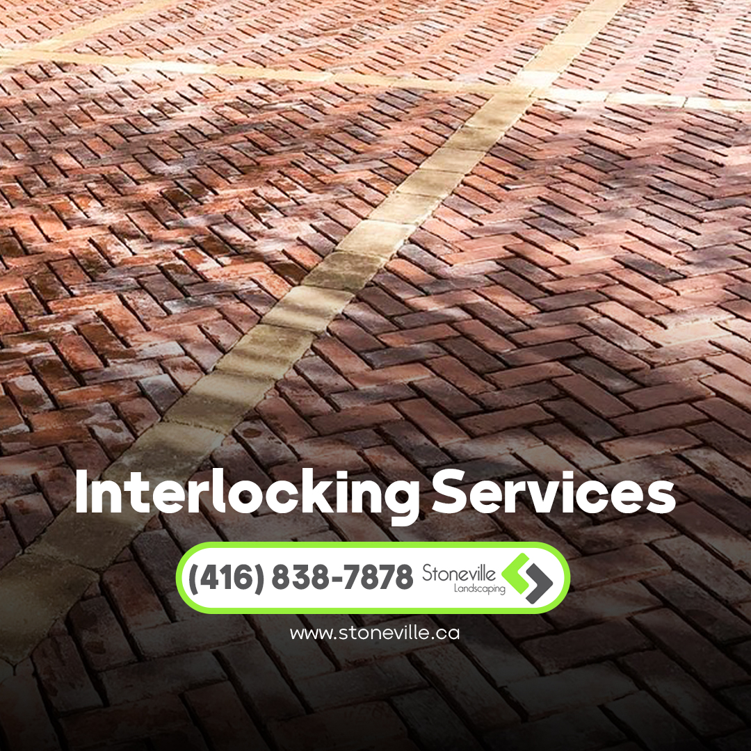 Read more about the article Interlocking Services